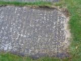 image of grave number 947333